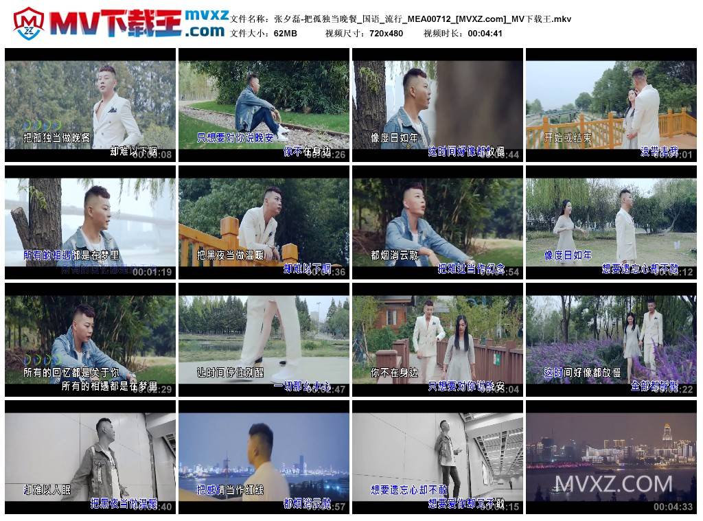 张夕磊-把孤独当晚餐_国语_流行_MEA00712